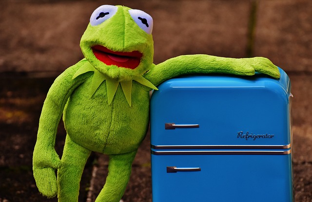refrigerator