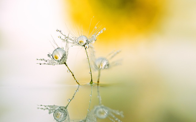 reflection