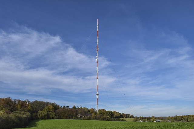 radio waves