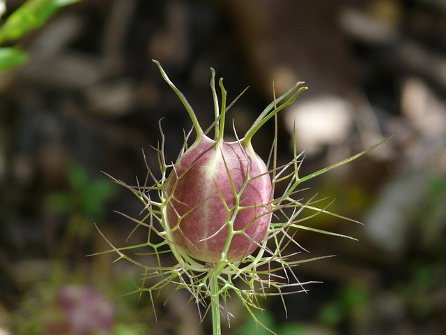 propagation